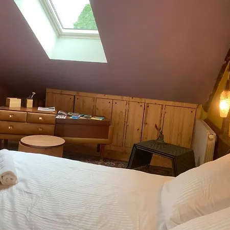 度假居 Maison D'artiste Coeur De Bords De Loire Chateaux Loire Valley *