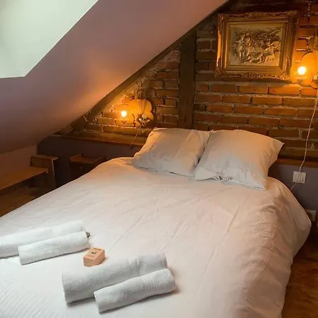 度假居 Maison D'artiste Coeur De Bords De Loire Chateaux Loire Valley